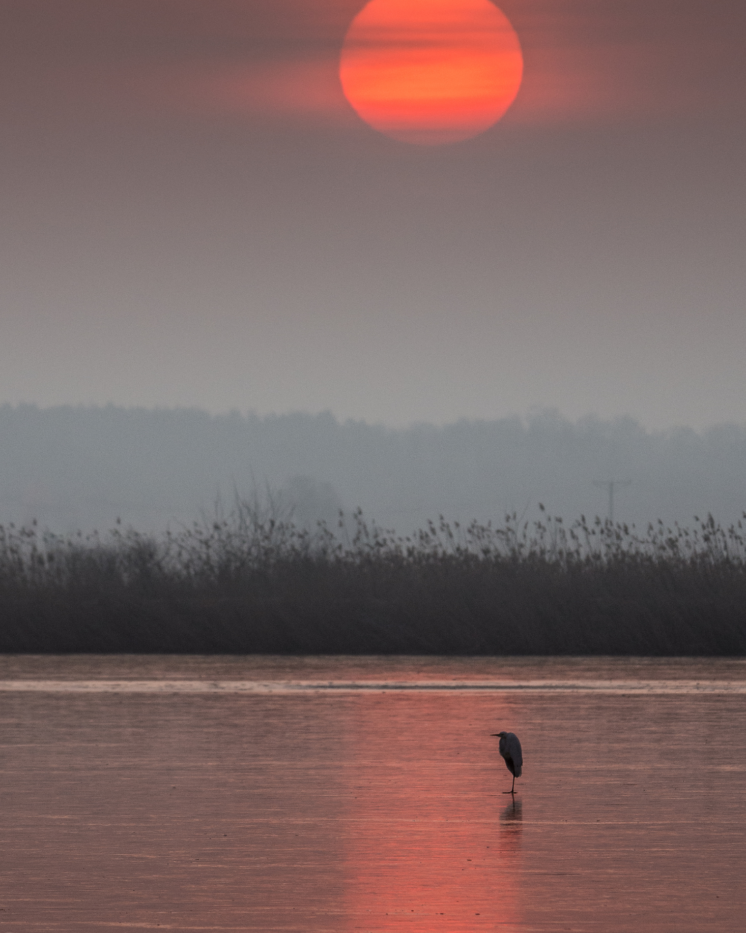 Spiritualiteit en filosofie