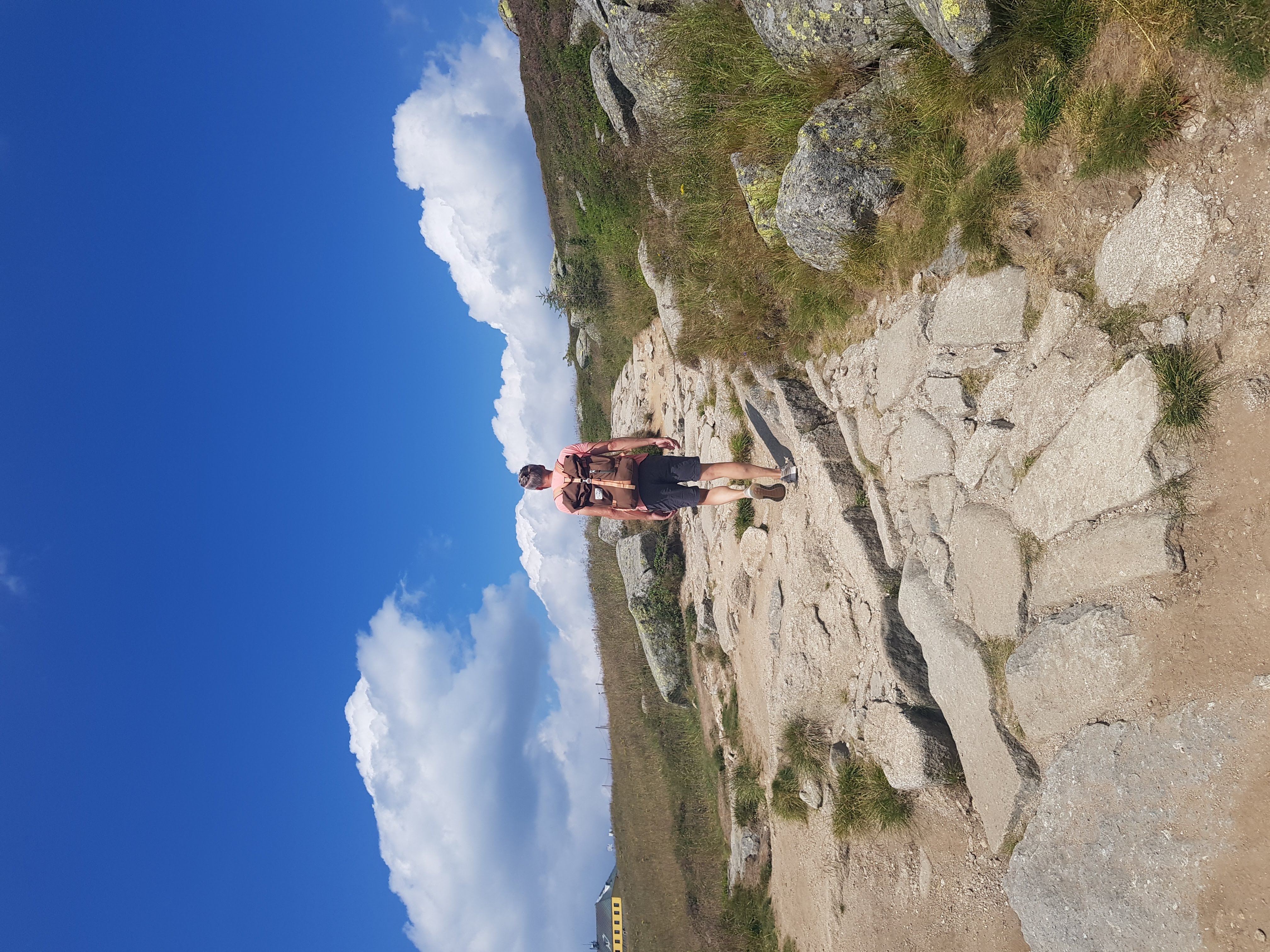 Op reis op het pad van de yogi