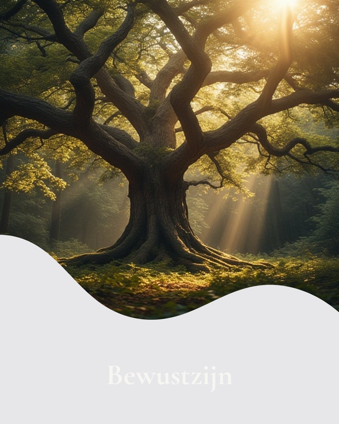 Bewustzijn