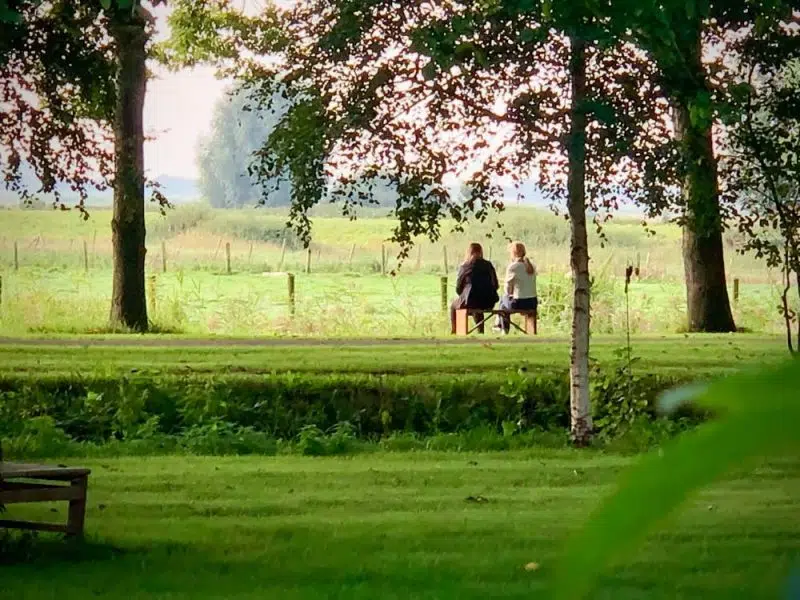 De dag bij Land of Now